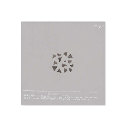 Fly In Amber_back_cover