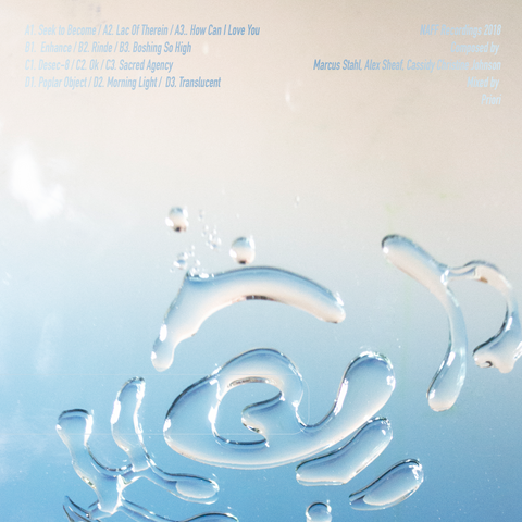 Pilgrims of the Rinde_back_cover