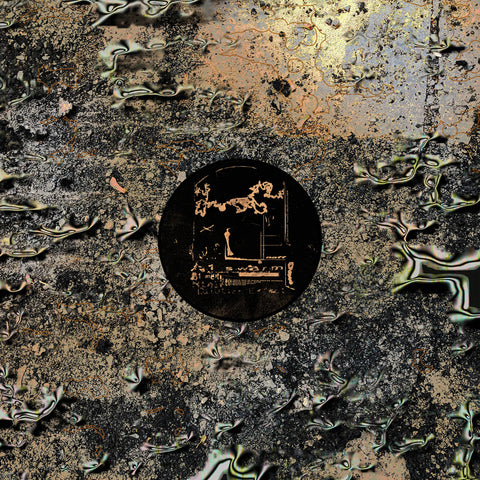 The Dilution Effect_front_cover