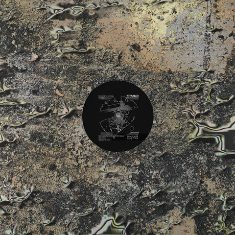 King Tide_front_cover