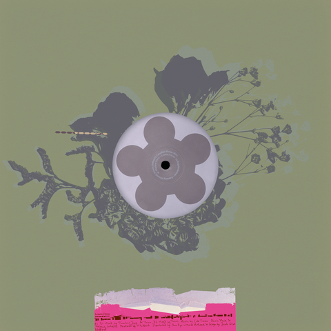 Lemon Citrus_back_cover