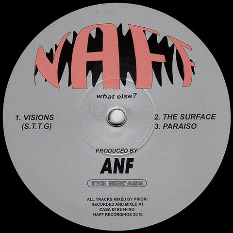Visions (S.T.T.G)_front_cover