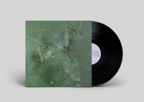 Your Own Power Remixes: 12" Vinyl LP by Priori [NAFF015]