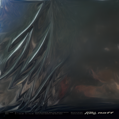 Numina_back_cover