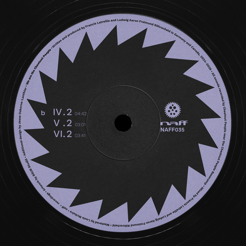 [Pre-order] Chestnut People Volume 2: 12" Vinyl by Chestnut People [NAFF035]
