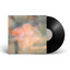 Soft Focus: 12" Vinyl by pondlicker [NAFF024]