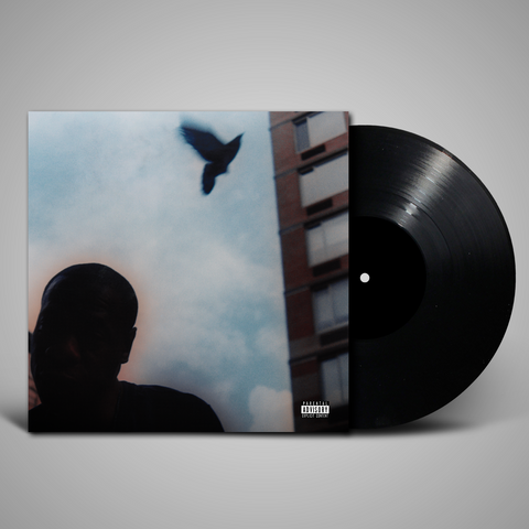 The Pearl: 12'' Vinyl by Sensational ft. Planteaterz [NAFF013]