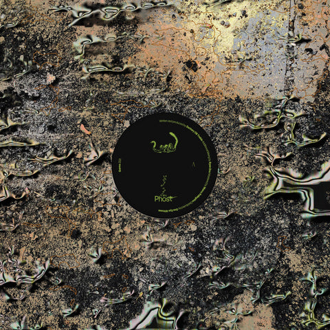 Swallowed By A Snake_front_cover