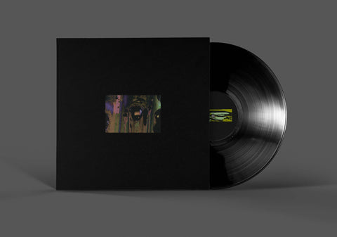 Pomegranate Skies: Vinyl 2LP by Sepehr [GARM07]